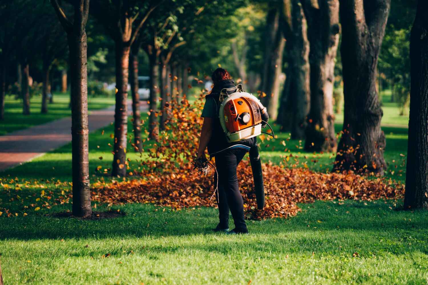 Best Residential Tree Removal  in Laingsburg, MI